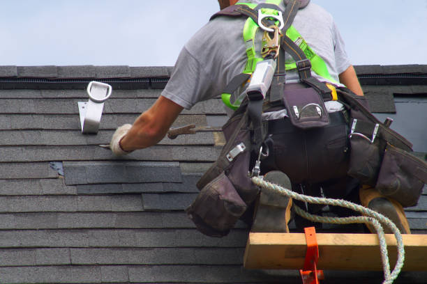Best Metal Roofing Contractor  in Olcott, NY