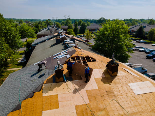 Best Roof Maintenance Services  in Olcott, NY