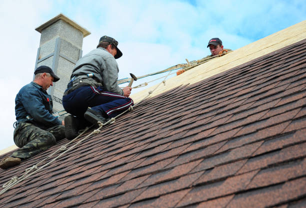 Best Tile Roofing Contractor  in Olcott, NY